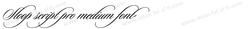 Sloop script pro medium font字体转换